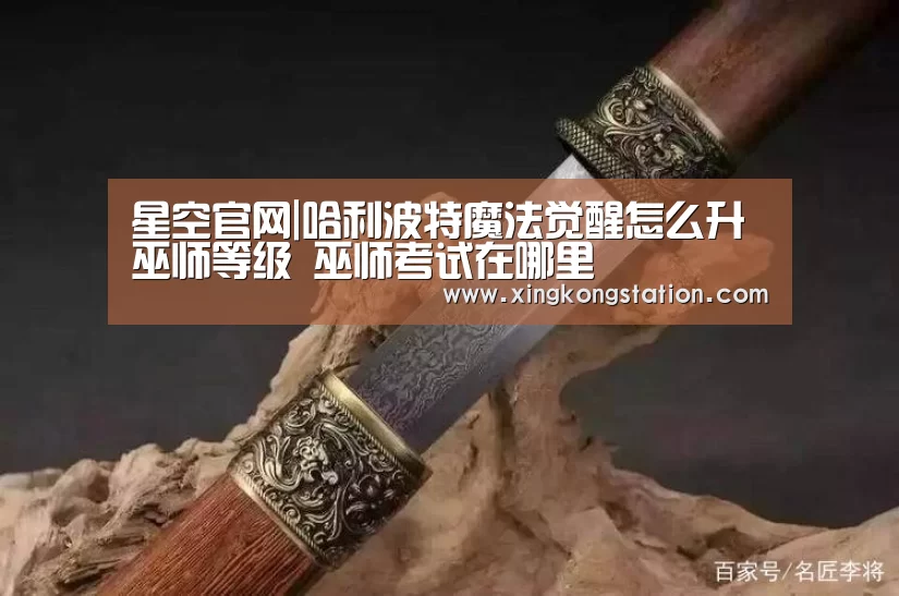 星空官网|哈利波特魔法觉醒怎么升巫师等级 巫师考试在哪里(图1) 星空频道
